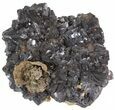 Sphalerite Crystal Cluster - Bulgaria #41709-1